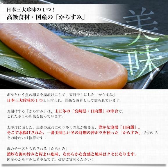 鹿児島県 山田水産より直送 天日熟成 国産からすみ 片腹 化粧箱 Mサイズ （71gから90ｇ） 送料無料 カラスミ ボラ 珍味 魚卵 おつまみ 肴 ※クール冷凍便04