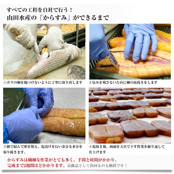 鹿児島県 山田水産より直送 天日熟成 国産からすみ 片腹 化粧箱 Mサイズ （71gから90ｇ） 送料無料 カラスミ ボラ 珍味 魚卵 おつまみ 肴 ※クール冷凍便06