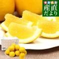 熊本県 JA熊本果実連 ジューシーオレンジ(河内晩柑) LからMサイズ 青秀品 約4.5キロ （13玉から16玉前後） 送料無料 柑橘 オレンジ