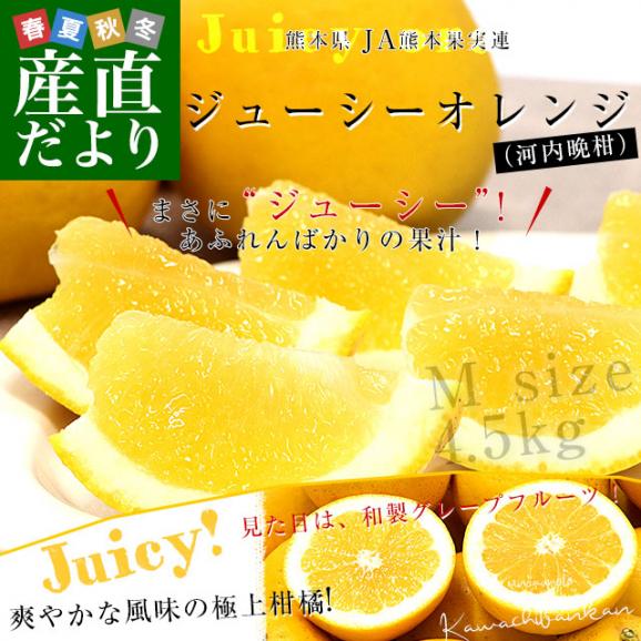 熊本県 JA熊本果実連 ジューシーオレンジ（河内晩柑） Mサイズ 青秀品 約4.5キロ（16玉） 送料無料 柑橘 オレンジ02