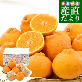 熊本県 JA熊本果実連 デコポン 秀品 約2キロ(8玉入り) ソフトPプラス(鮮度保持袋)入り 送料無料 柑橘 でこぽん 