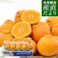 熊本県 JA熊本果実連 デコポン 4Lから2Lサイズ 約5キロ(15玉から20玉入り) ソフトPプラス(鮮度保持袋)入り 送料無料 柑橘 でこぽん