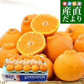 熊本県 JA熊本果実連 デコポン 秀品 約5キロ(20玉入り) ソフトPプラス(鮮度保持袋)入り 送料無料 柑橘 でこぽん 