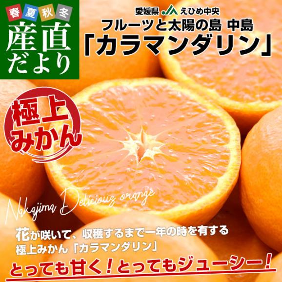 愛媛県産　JAえひめ中央　中島のカラマンダリン　青秀品　Mサイズ 約5キロ（50玉前後）　極上みかん　みかんと太陽の島　愛媛中島町　市場発送02