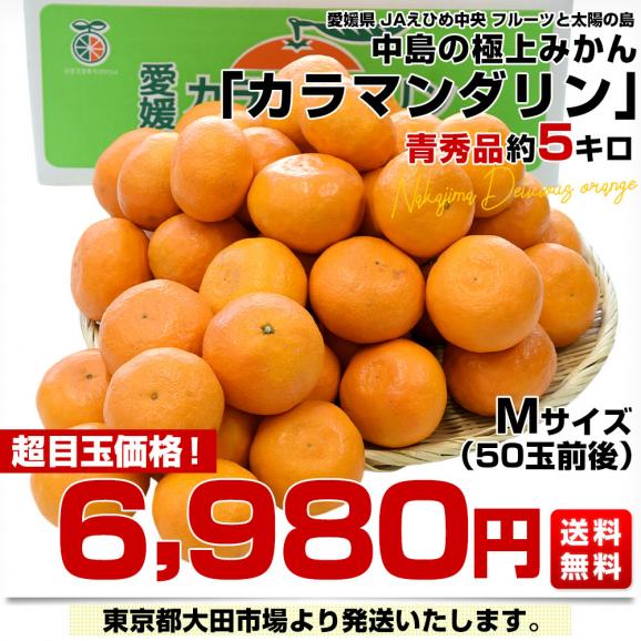 愛媛県産　JAえひめ中央　中島のカラマンダリン　青秀品　Mサイズ 約5キロ（50玉前後）　極上みかん　みかんと太陽の島　愛媛中島町　市場発送03