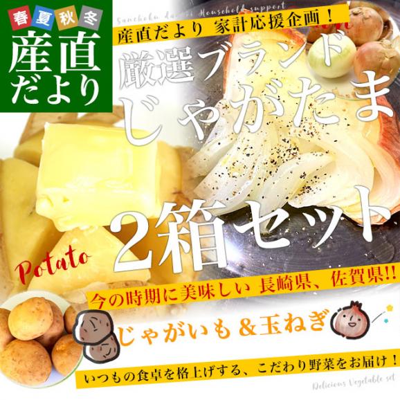 厳選ブランド産地！じゃがいも×玉ねぎ2箱セット（長崎県産 じゃがいも×佐賀県産玉ねぎ　各3キロ）送料無料　ジャガイモ　玉ねぎ　玉葱　馬鈴薯　野菜　市場発送02