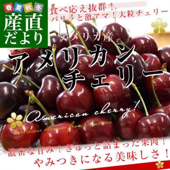 アメリカ産 アメリカンチェリー 大粒10.5Rサイズ 約800g（約200g×4パック） 送料無料 チェリー サクランボ 桜桃02