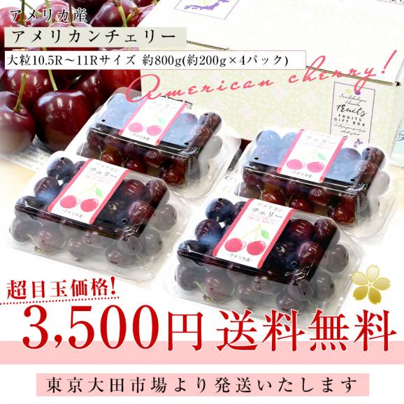 アメリカ産 アメリカンチェリー 大粒10.5Rから11Rサイズ 約800g（約200g&times;4パック）送料無料 チェリー サクランボ 桜桃03