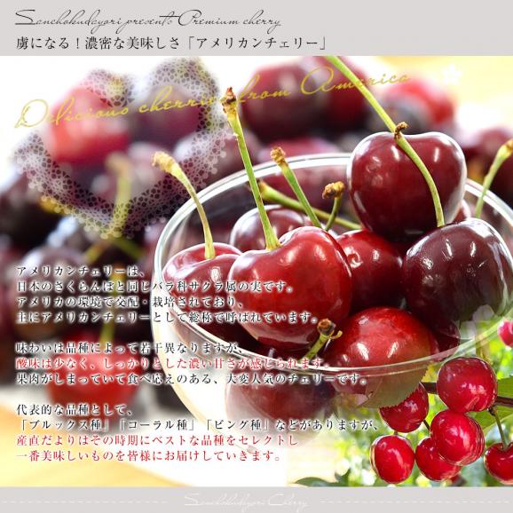 アメリカ産 アメリカンチェリー 大粒10Rから10.5Rサイズ 約800g アメリカ産 アメリカンチェリー 大粒10Rから10.5Rサイズ 約800g
