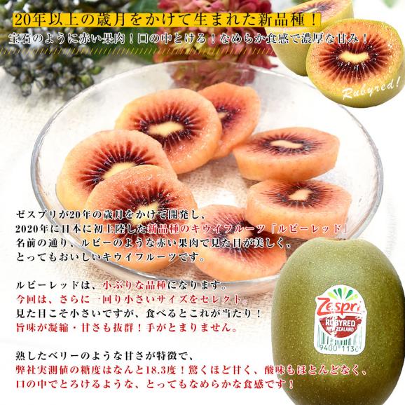 ニュージーランド産 ゼスプリ・ルビーレッド 新品種のキウイフルーツ 小玉約1.8キロ（900g×2袋）合計20玉から26玉前後 送料無料　キウイフルーツ05