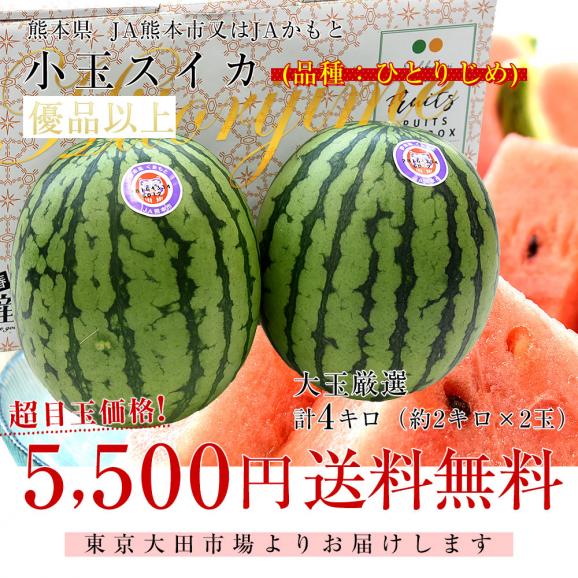 熊本県 JA熊本市 又は JAかもと 小玉スイカ(品種：ひとりじめ) 優品以上 合計4キロ (約2キロ×2玉) 送料無料 すいか 西瓜03