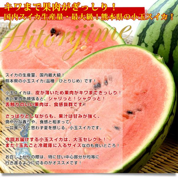 熊本県 JA熊本市 又は JAかもと 小玉スイカ(品種：ひとりじめ) 優品以上 合計4キロ (約2キロ×2玉) 送料無料 すいか 西瓜05