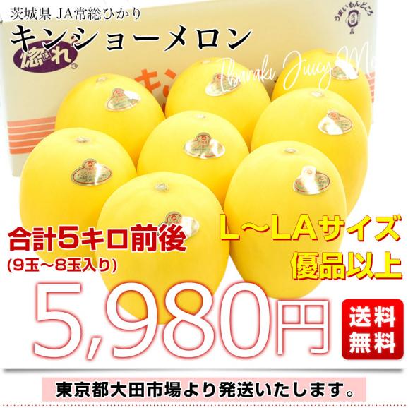 茨城県産 JA常総ひかり キンショーメロン LからLAサイズ 優品以上 合計5キロ前後(9玉から8玉入り) 送料無料 めろん ノーネットメロン03