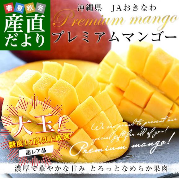 沖縄県より産地直送 JAおきなわ プレミアムマンゴー 赤秀品 大玉3Lから2Lサイズ 700g以上 (2玉入) 送料無料 沖縄マンゴー アップルマンゴー　ギフト 夏ギフト お中元 御中元02