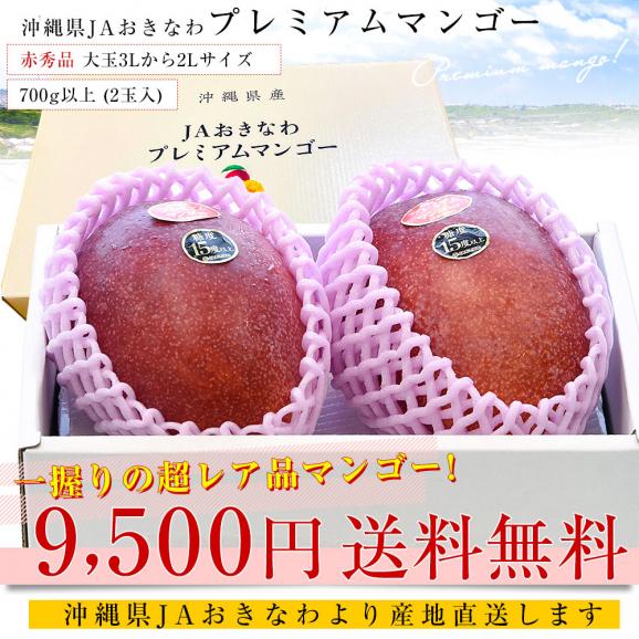 沖縄県より産地直送 JAおきなわ プレミアムマンゴー 赤秀品 大玉3Lから2Lサイズ 700g以上 (2玉入) 送料無料 沖縄マンゴー アップルマンゴー　ギフト 夏ギフト お中元 御中元03