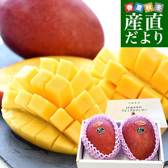 沖縄県より産地直送 JAおきなわ プレミアムマンゴー 赤秀品 超大 沖縄県より産地直送 JAおきなわ プレミアムマンゴー 赤秀品 超大