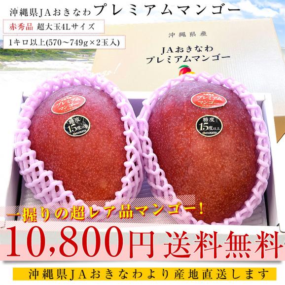 沖縄県より産地直送 JAおきなわ プレミアムマンゴー 赤秀品 超大玉4Lサイズ 1キロ以上(570～749g×2玉入) 送料無料 沖縄マンゴー アップルマンゴー　ギフト 夏ギフト お中元 御中元03