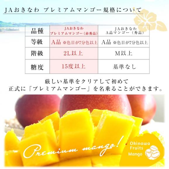 沖縄県より産地直送 JAおきなわ プレミアムマンゴー 赤秀品 超大玉4Lサイズ 1キロ以上(570～749g×2玉入) 送料無料 沖縄マンゴー アップルマンゴー　お中元05