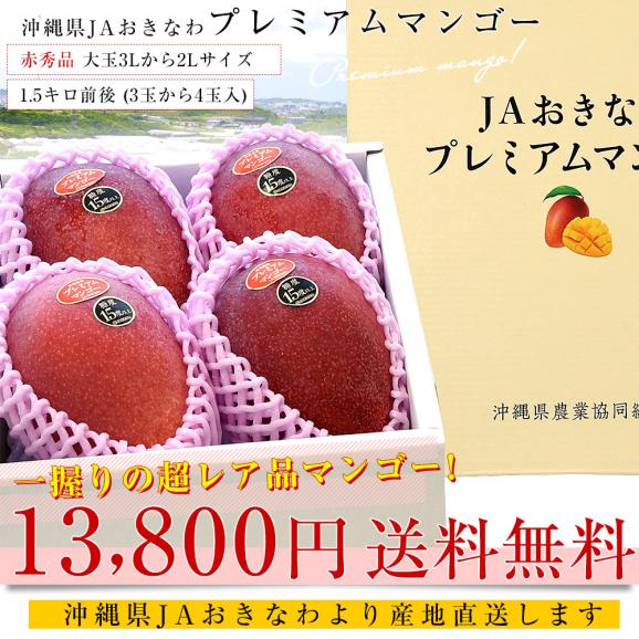 沖縄県より産地直送 JAおきなわ プレミアムマンゴー 赤秀品 大玉3Lから2Lサイズ 1.5キロ前後 (3玉から4玉入) 送料無料 沖縄マンゴー アップルマンゴー03