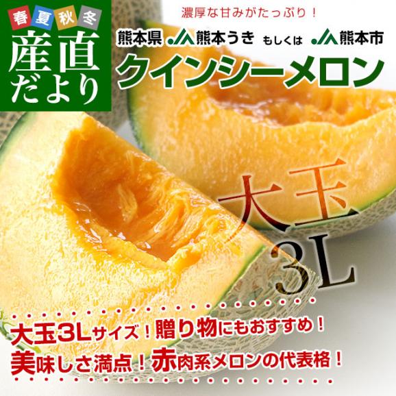 熊本県産 JA熊本うき又はJA熊本市 クインシーメロン 大玉 3Lサイズ 秀品　約2.5キロ （2玉入） 送料無料 赤肉 めろん メロン02
