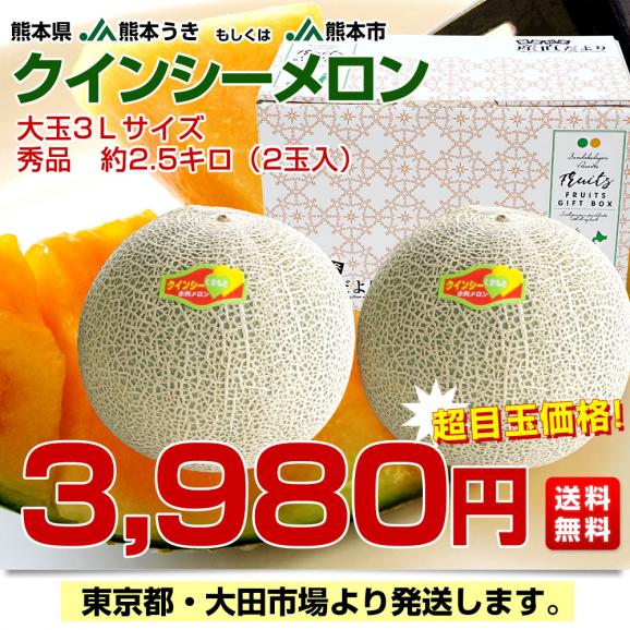 熊本県産 JA熊本うき又はJA熊本市 クインシーメロン 大玉 3Lサイズ 秀品　約2.5キロ （2玉入） 送料無料 赤肉 めろん メロン03