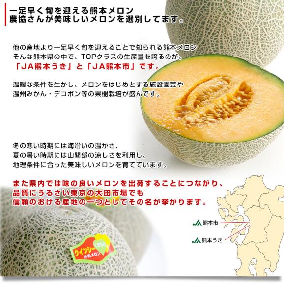 熊本県産 JA熊本うき又はJA熊本市 クインシーメロン 大玉 3Lサイズ 秀品　約2.5キロ （2玉入） 送料無料 赤肉 めろん メロン04