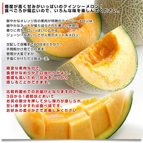 熊本県産 JA熊本うき又はJA熊本市 クインシーメロン 大玉 3Lサイズ 秀品　約2.5キロ （2玉入） 送料無料 赤肉 めろん メロン05