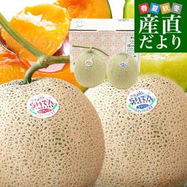 北海道産JAきょうわ　らいでんメロン（赤肉）＆らいでんクラウンメロン（青肉）大玉2玉セット（合計約3キロ） 送料無料 メロン 北海道メロン ギフト お中元