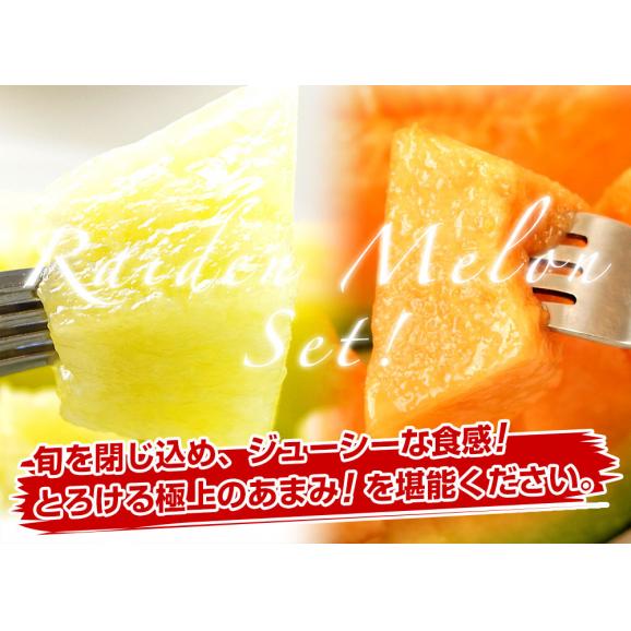 北海道JAきょうわ　らいでんメロン（赤肉）＆らいでんクラウンメロン（青肉）大玉2玉セット（合計約3キロ） 送料無料 メロン 北海道メロン ギフト 夏ギフト お中元 御中元 のし対応可04