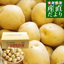 静岡県産 JAとぴあ浜松 三方原馬鈴薯（男爵） Sサイズ 5キロ ばれいしょ じゃがいも ジャガイモ 送料無料