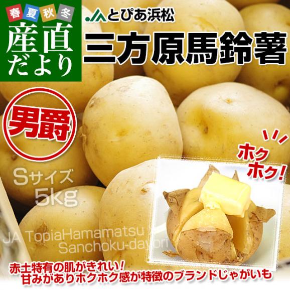 静岡県産 JAとぴあ浜松 三方原馬鈴薯（男爵） Sサイズ 5キロ ばれいしょ じゃがいも ジャガイモ 送料無料02