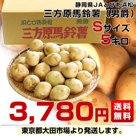 静岡県産 JAとぴあ浜松 三方原馬鈴薯（男爵） Sサイズ 5キロ ばれいしょ じゃがいも ジャガイモ 送料無料03