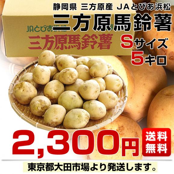 静岡県産 JAとぴあ浜松 三方原馬鈴薯（男爵） Sサイズ 5キロ