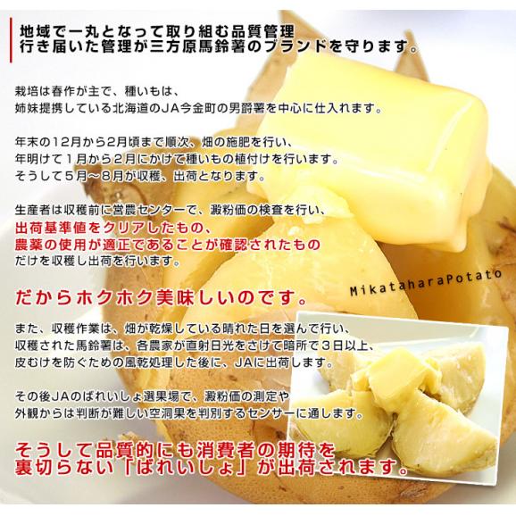 静岡県産 JAとぴあ浜松 三方原馬鈴薯（男爵） Sサイズ 5キロ ばれいしょ じゃがいも ジャガイモ 送料無料06