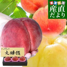 山梨県より産地直送 JAふえふき御坂支所 最高級桃「御坂の大糖領」 超大玉 約1キロ （3玉入） 送料無料 もも モモ ギフト 夏ギフト お中元 御中元