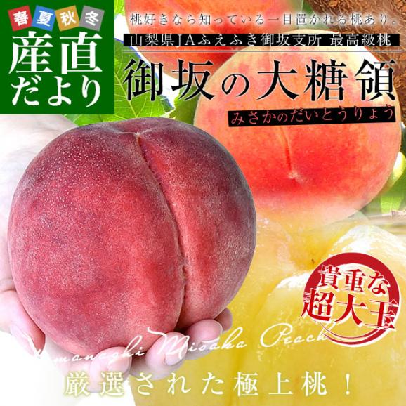 山梨県より産地直送 JAふえふき御坂支所 最高級桃「御坂の大糖領」 超大玉 約1キロ （3玉入） 送料無料 もも モモ ギフト 夏ギフト お中元 御中元02
