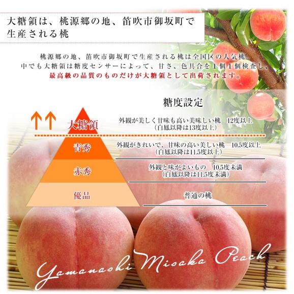 山梨県より産地直送 JAふえふき御坂支所 最高級桃「御坂の大糖領」 超大玉 約1キロ （3玉入） 送料無料 もも モモ ギフト 夏ギフト お中元 御中元05