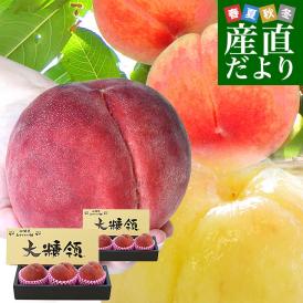 山梨県より産地直送 JAふえふき御坂支所 最高級桃「御坂の大糖領」 超大玉 2箱セット計2キロ（6玉入） 送料無料 もも モモ ギフト 夏ギフト お中元 御中元