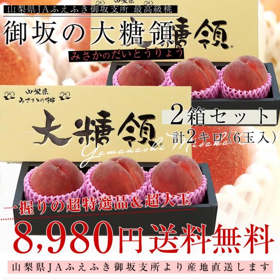 山梨県より産地直送 JAふえふき御坂支所 最高級桃「御坂の大糖領」 超大玉 2箱セット計2キロ（6玉入） 送料無料 もも モモ ギフト 夏ギフト お中元 御中元03