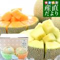 【父の日 ギフト】 茨城県産 JA茨城旭村 エルソルメロン＆クインシーメロン 特秀品 大玉3Lサイズ 2玉セット （合計約2.5キロ） 送料無料 青肉 赤肉 メロンセット 父の日 父の日プレゼント