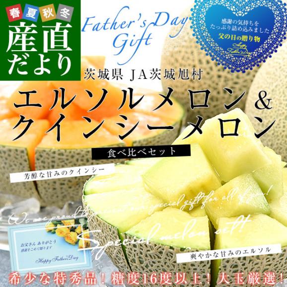 【遅れてごめんね父の日】 茨城県産 JA茨城旭村 エルソルメロン＆クインシーメロン 特秀品 大玉3Lサイズ 2玉セット （合計約2.5キロ） 送料無料 青肉 赤肉 メロンセット 父の日02