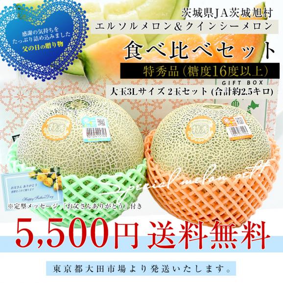 【遅れてごめんね父の日】 茨城県産 JA茨城旭村 エルソルメロン＆クインシーメロン 特秀品 大玉3Lサイズ 2玉セット （合計約2.5キロ） 送料無料 青肉 赤肉 メロンセット 父の日03