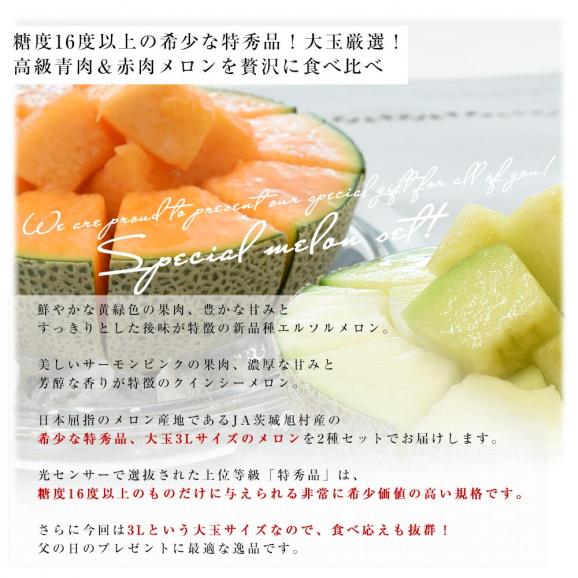 【遅れてごめんね父の日】 茨城県産 JA茨城旭村 エルソルメロン＆クインシーメロン 特秀品 大玉3Lサイズ 2玉セット （合計約2.5キロ） 送料無料 青肉 赤肉 メロンセット 父の日04