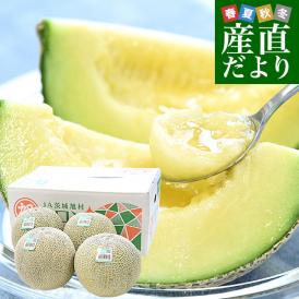 茨城県産 JA茨城旭村 エルソルメロン A品 大玉 4Lから3Lサイズ 約5キロ （3玉から4玉） 送料無料 メロン めろん 青肉メロン