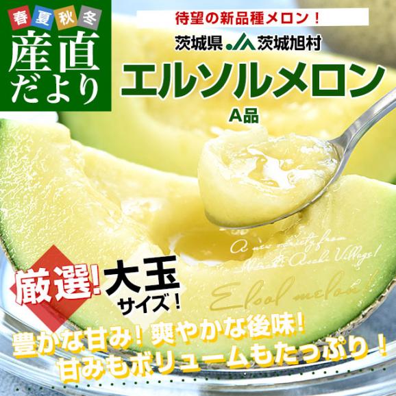 茨城県産 JA茨城旭村 エルソルメロン A品 大玉 4Lから3Lサイズ 約5キロ （3玉から4玉） 送料無料 メロン めろん 青肉メロン02