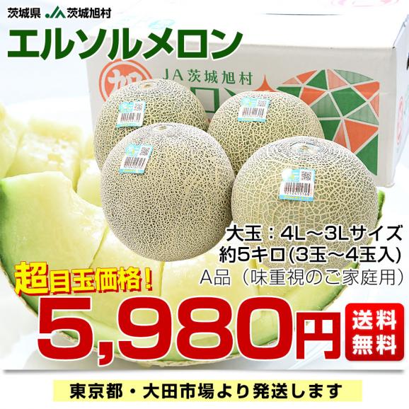 茨城県産 JA茨城旭村 エルソルメロン A品 大玉 4Lから3Lサイズ 約5キロ （3玉から4玉） 送料無料 メロン めろん 青肉メロン03