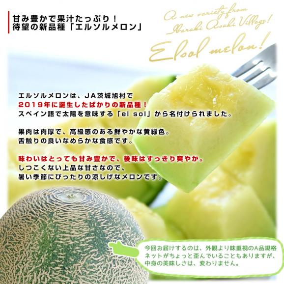茨城県産 JA茨城旭村 エルソルメロン A品 大玉 4Lから3Lサイズ 約5キロ （3玉から4玉） 送料無料 メロン めろん 青肉メロン04