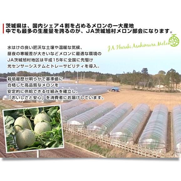 茨城県産 JA茨城旭村 エルソルメロン A品 大玉 4Lから3Lサイズ 約5キロ （3玉から4玉） 送料無料 メロン めろん 青肉メロン05