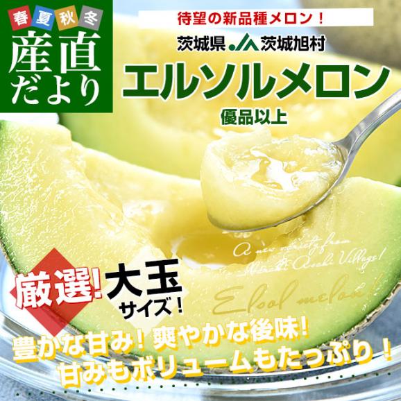 茨城県産 JA茨城旭村 エルソルメロン 優品以上 大玉 4Lから3Lサイズ 約5キロ （3玉から4玉） 送料無料 メロン めろん 青肉メロン02