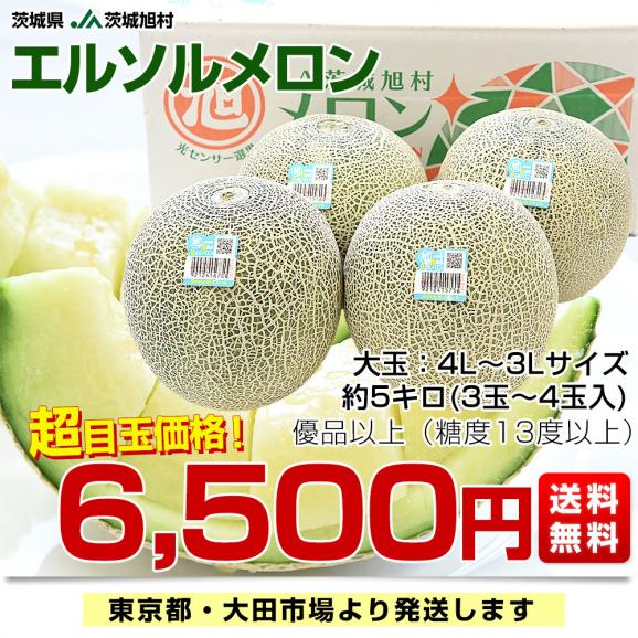 茨城県産 JA茨城旭村 エルソルメロン 優品以上 大玉 4Lから3Lサイズ 約5キロ （3玉から4玉） 送料無料 メロン めろん 青肉メロン03